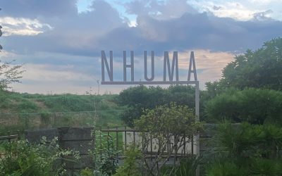 起業して１歳を迎えました。